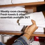 Yays The Hague Willemspark By Numa