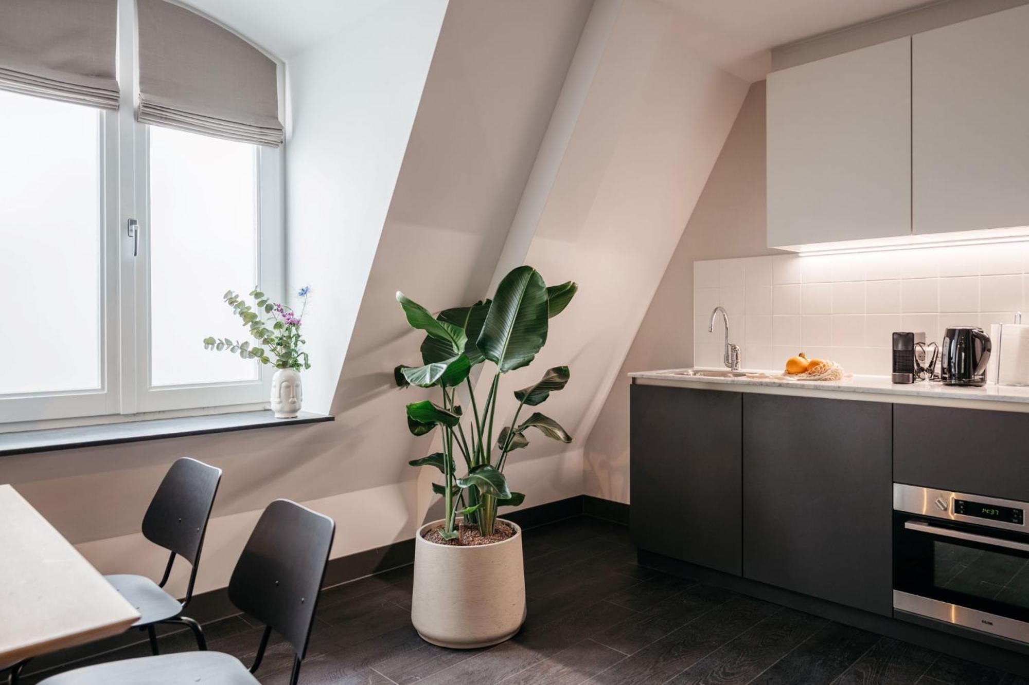 Yays Willemspark By Numa The Hague